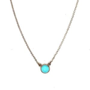 Elsa Peretti Tiffany & Co Color By the yard 925 Silver Turquoise Necklace 16"
